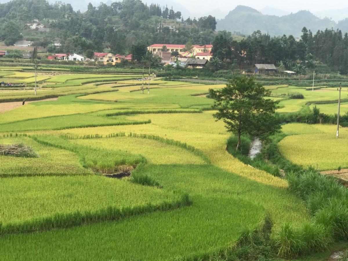 So H'Mong Homestay バクハ エクステリア 写真
