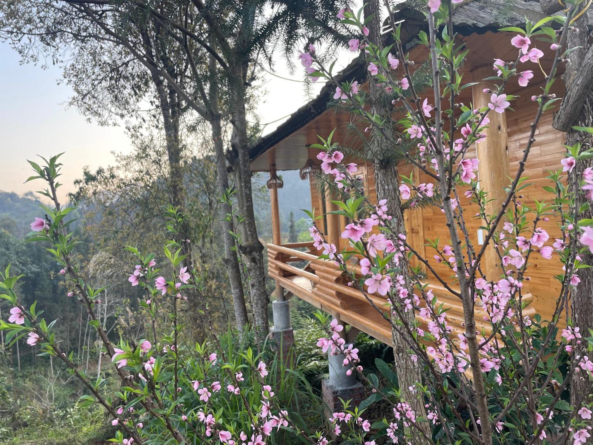 So H'Mong Homestay バクハ エクステリア 写真