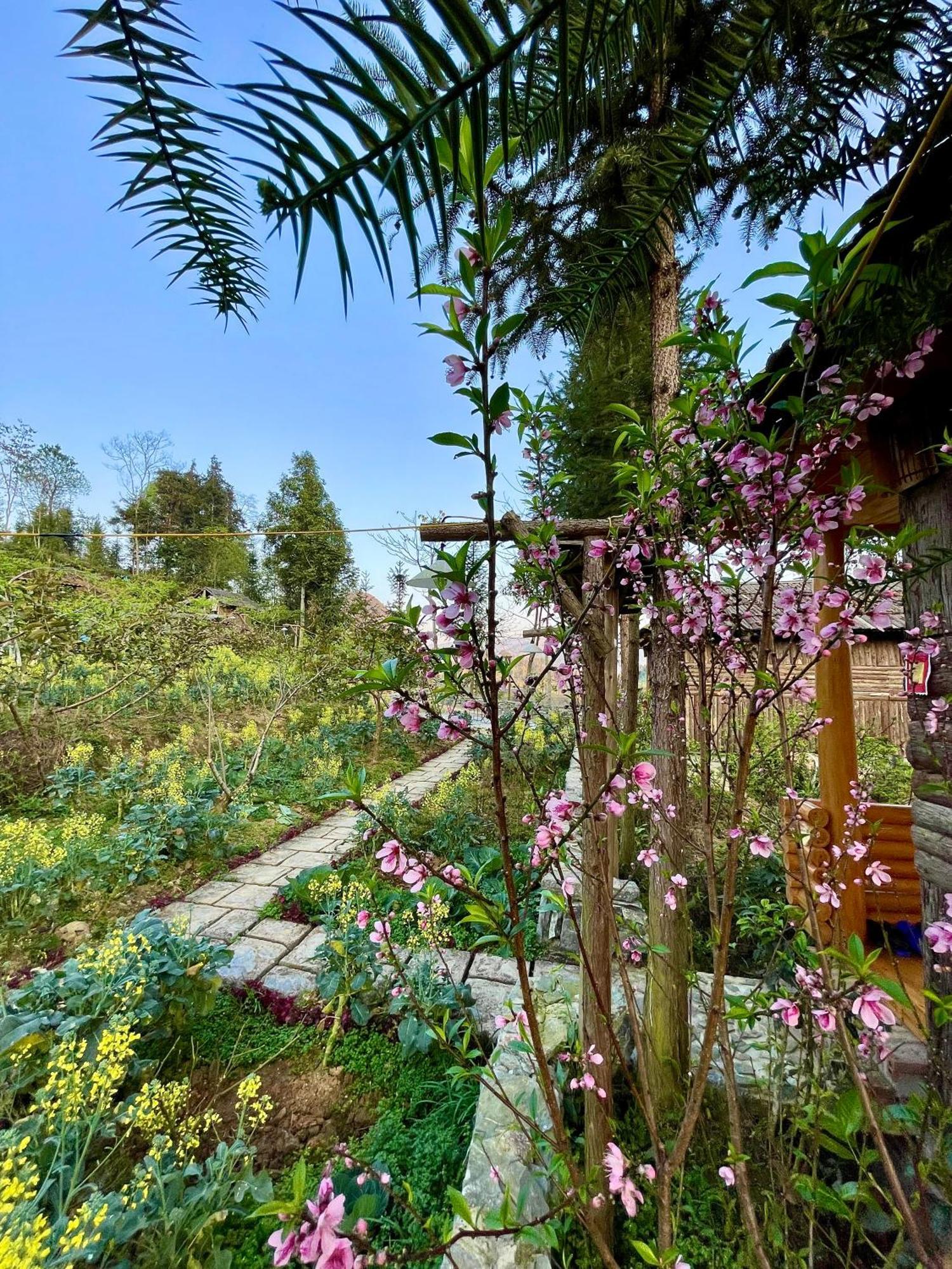 So H'Mong Homestay バクハ エクステリア 写真